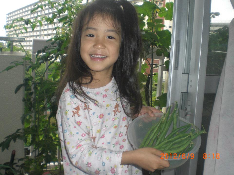 * Balcony in Tokyo - beans - Photo Edrick Tobias Molina - 544980_407180199320439_251402421_n.jpg