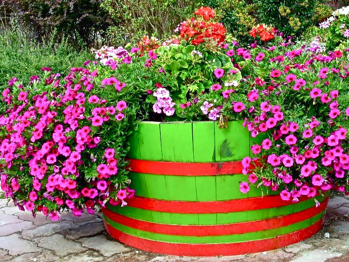 * Barrel - Petunia - Photo PlantaSonya - 149929_434712349940824_672939925_n.jpg