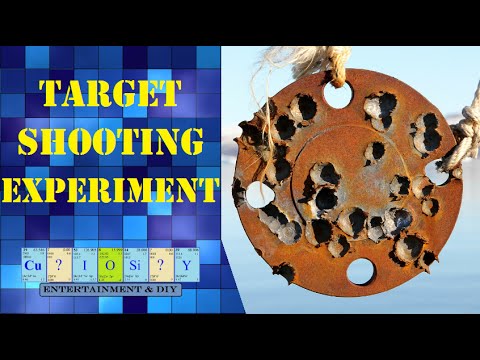 .308 Target shooting experiment