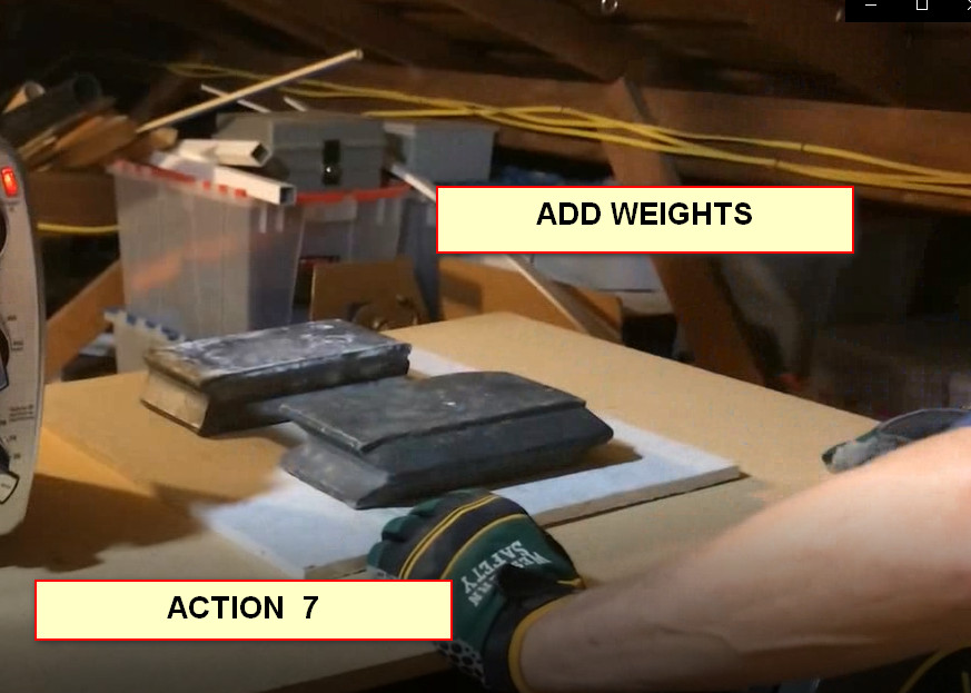 0-ACTION7-WEIGHTS.jpg