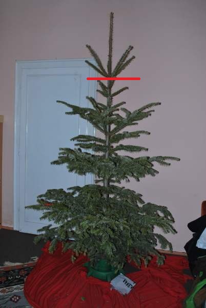 01_christmas_tree01.jpg