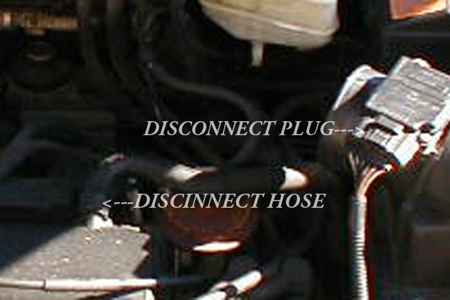 02 Disc hose &amp; plug.JPG