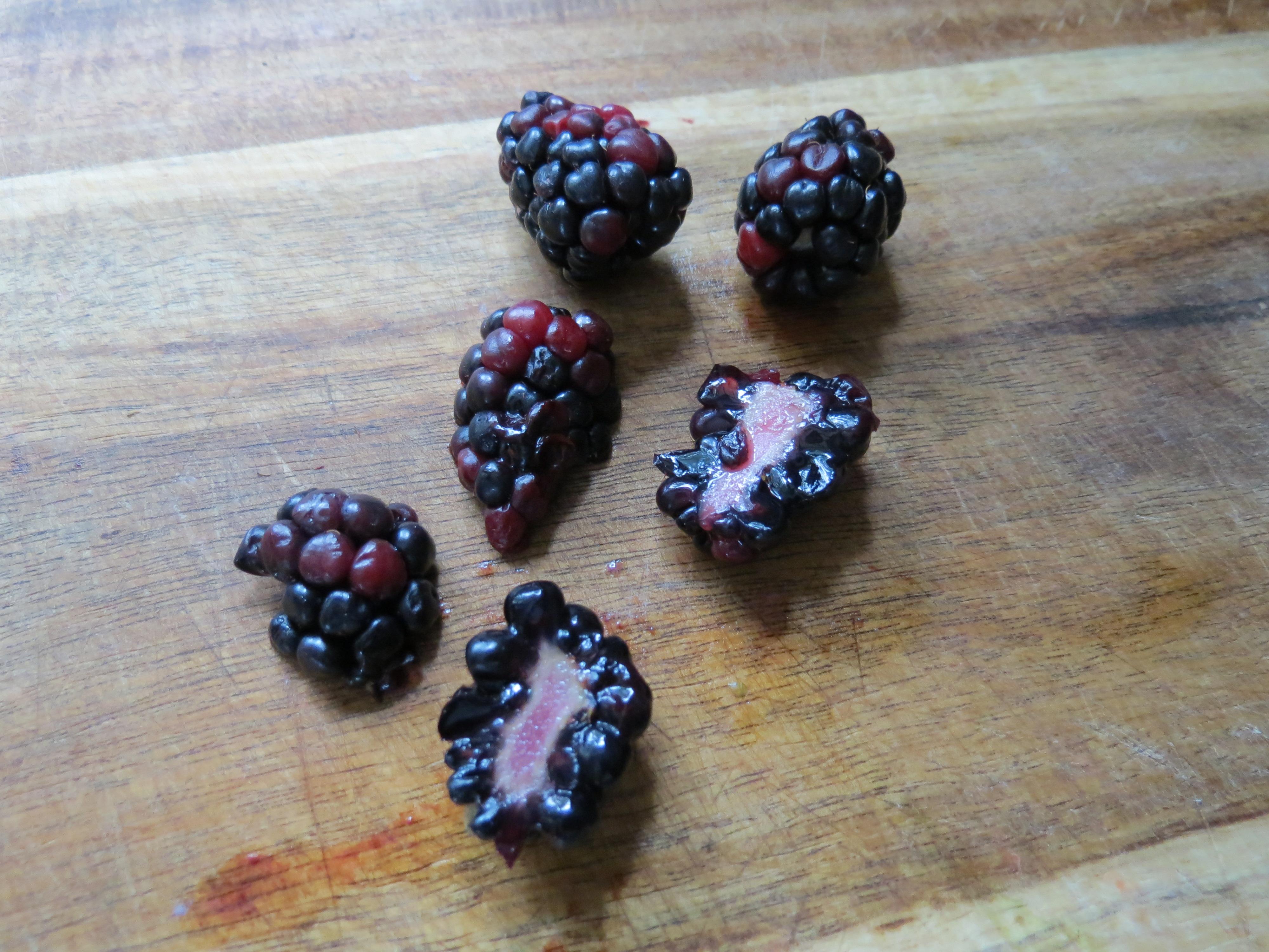 04-Blackberries.JPG