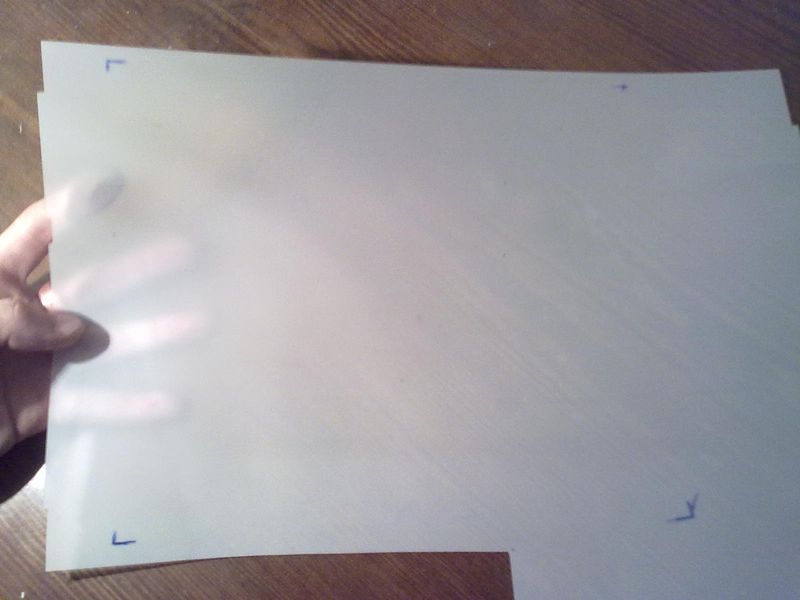 04032010441.jpg