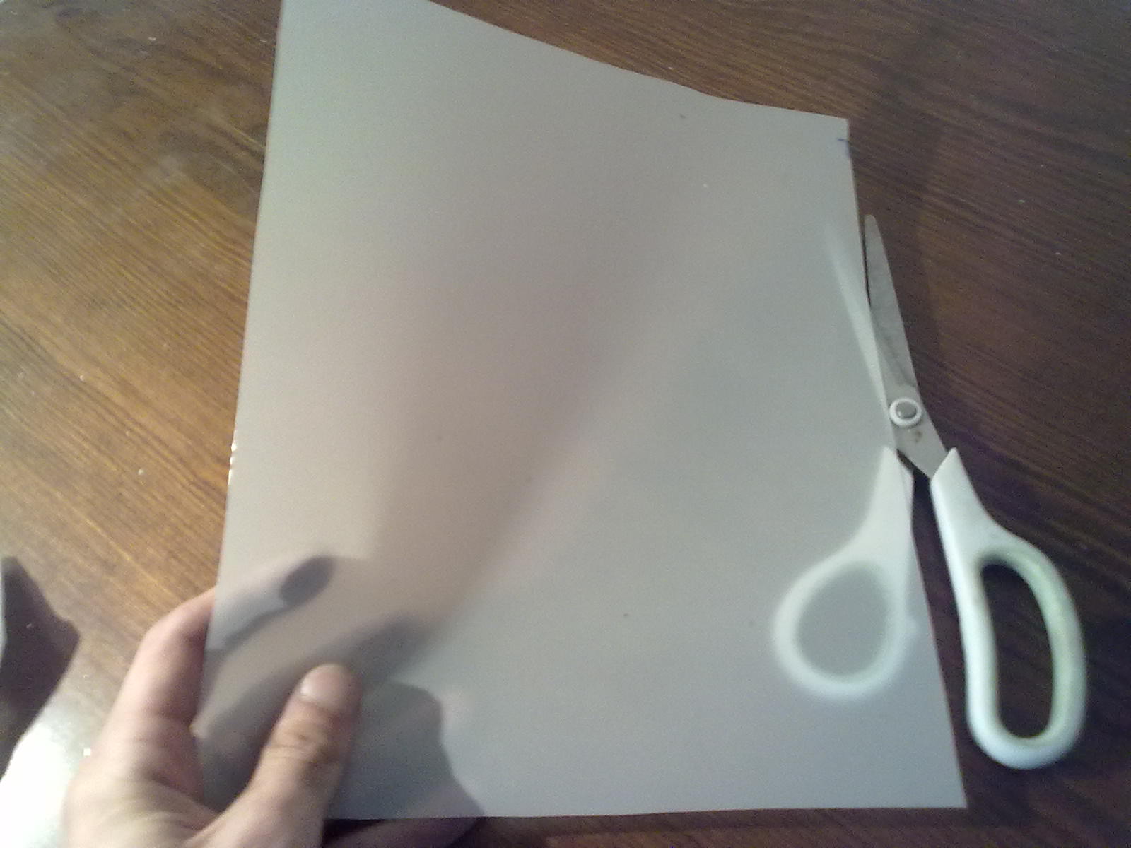 04032010443.jpg
