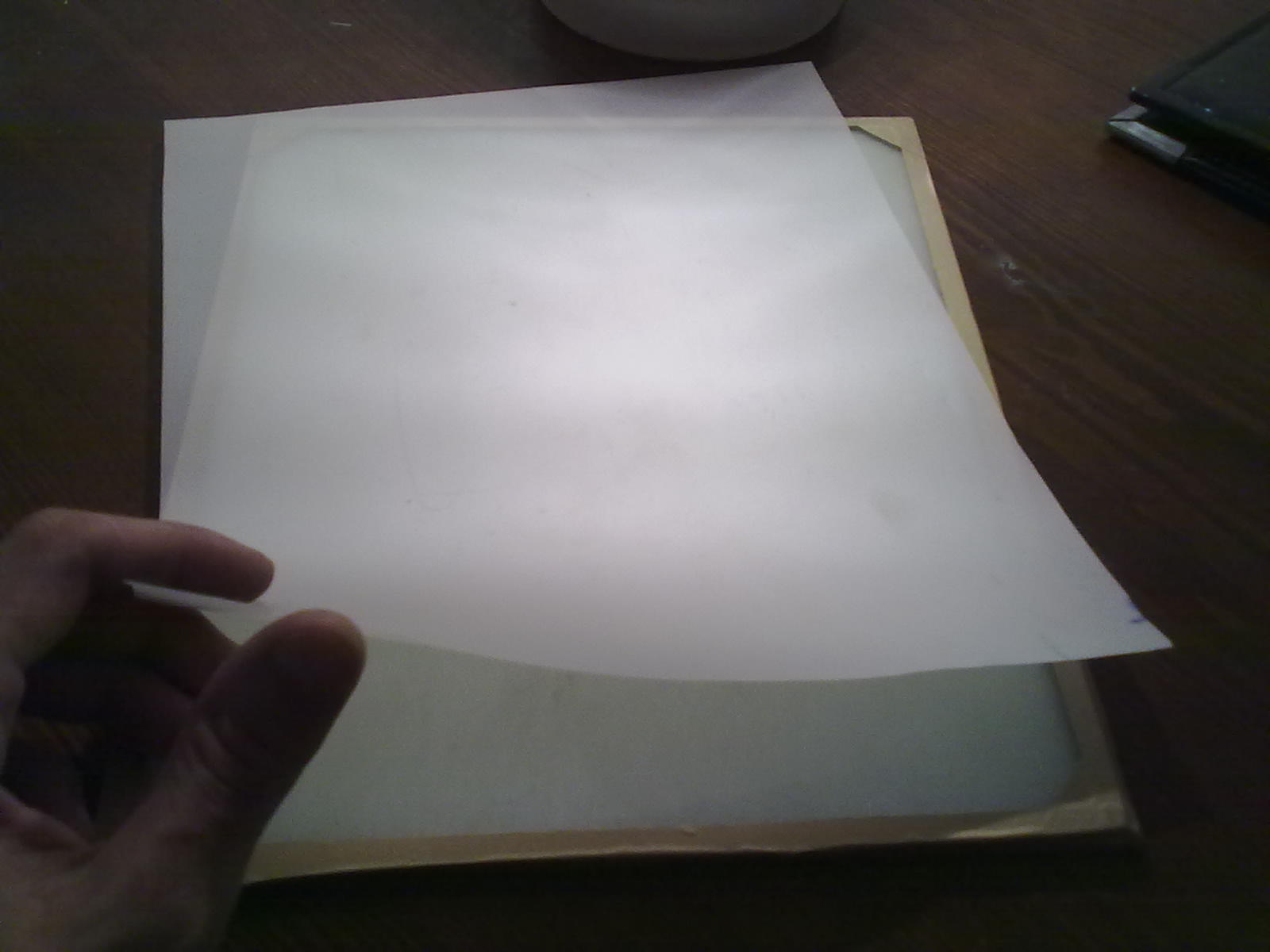 04032010478.jpg
