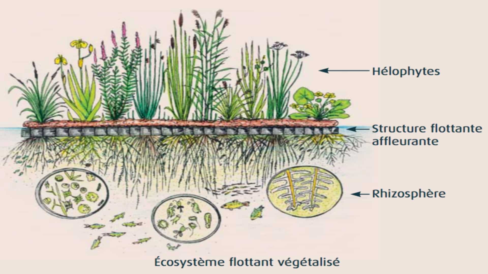 050318-SOPURE-RADEAUX-ECOLOGIQUES-TECH.jpg