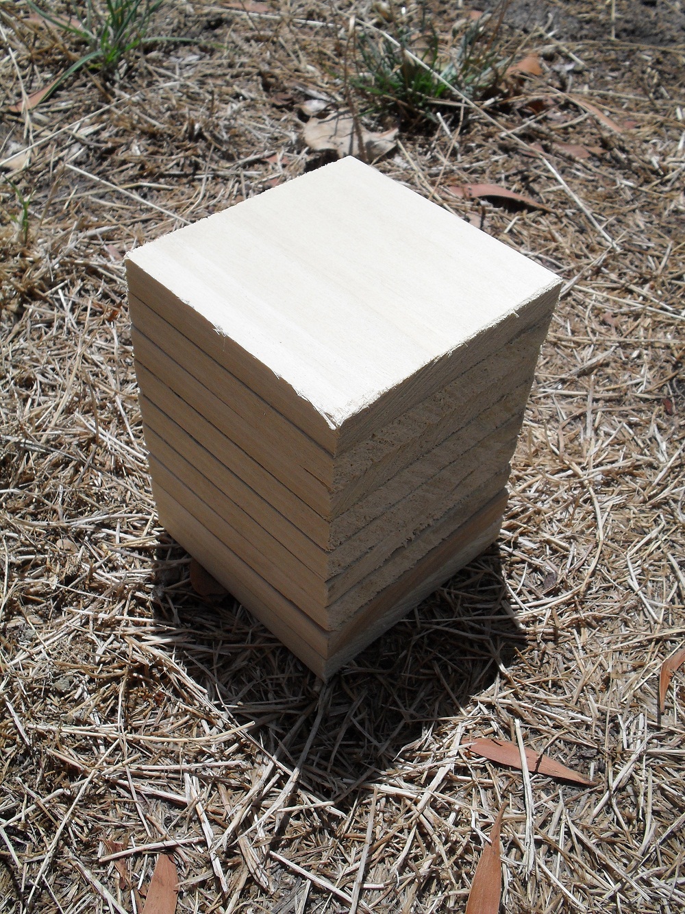 06 Wooden Blocks.JPG