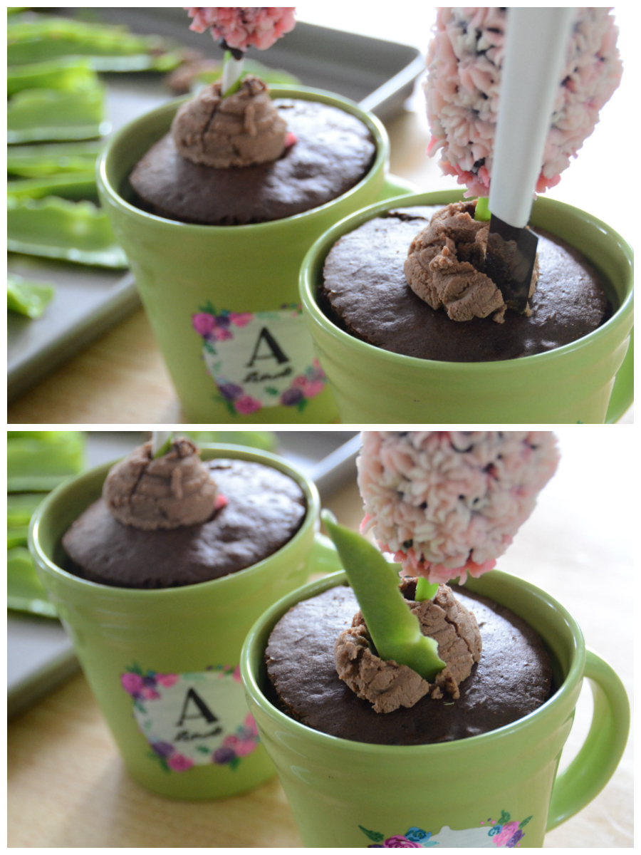 06-05 Chocolate Leaves in Pot 1.jpg