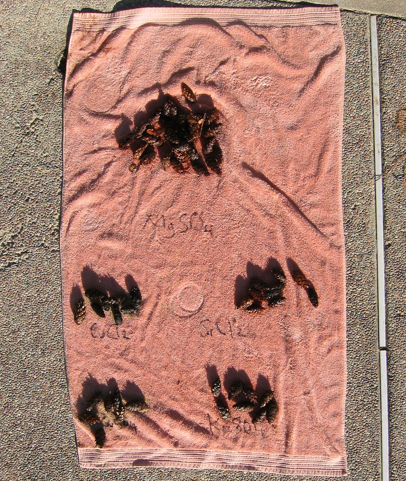 07-towel.jpg