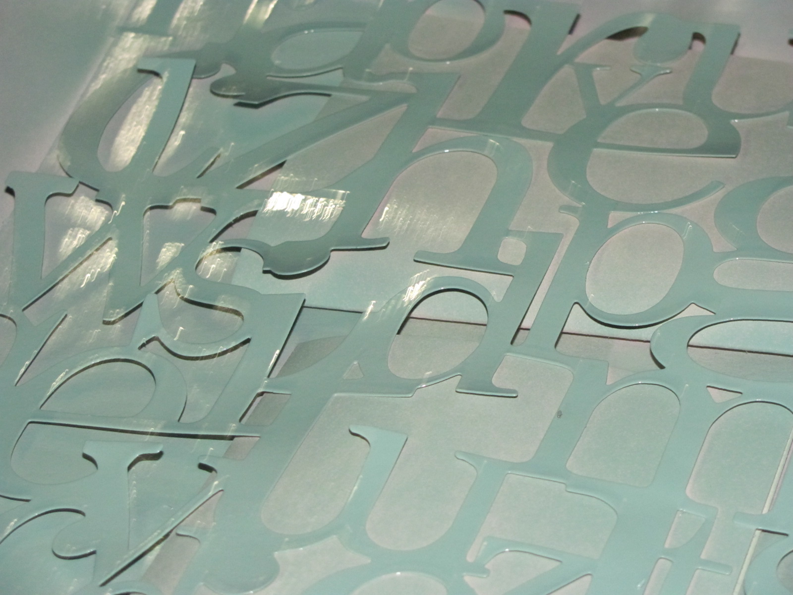 08092010 012.jpg