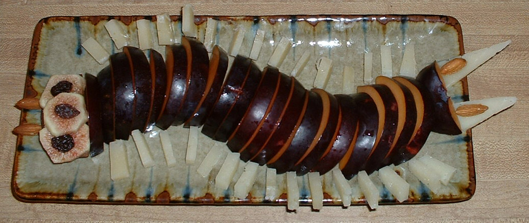 08_millipede_assembled.jpg