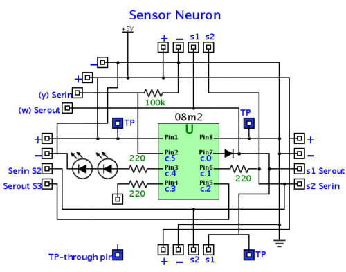 08m2neuron.jpg