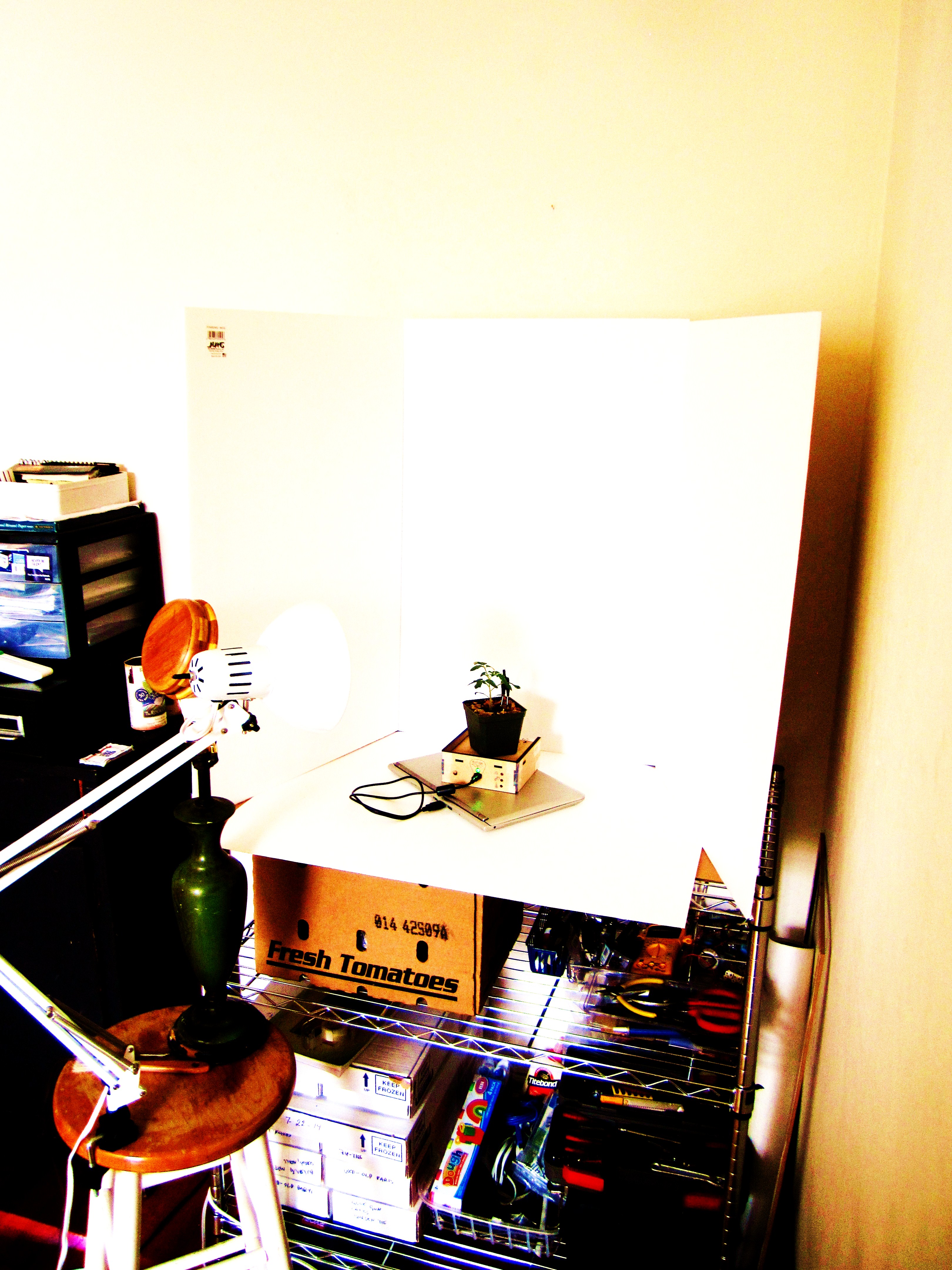 09.JPG