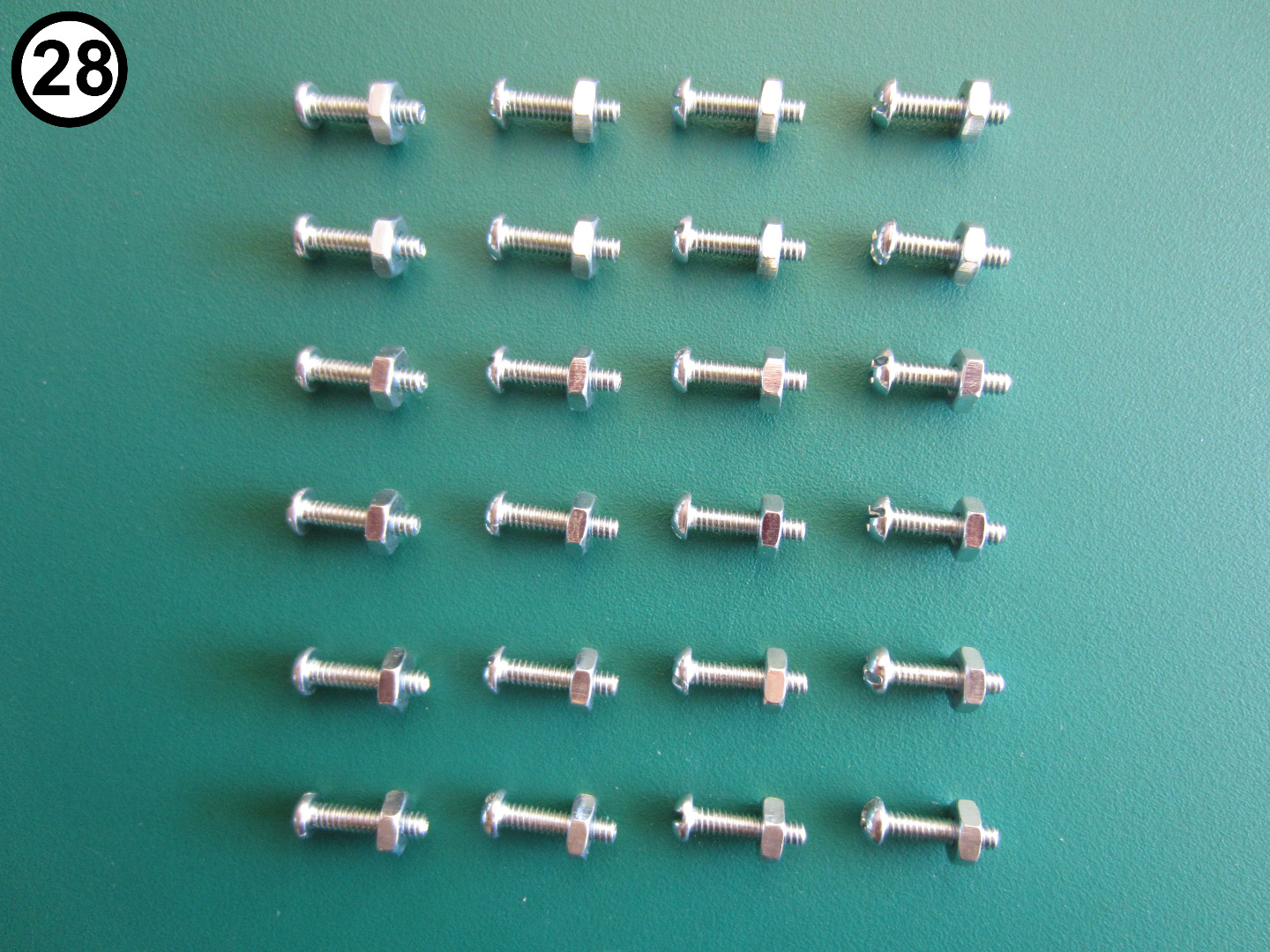 1 - 28 - Case - Machine Screws and Nuts.JPG