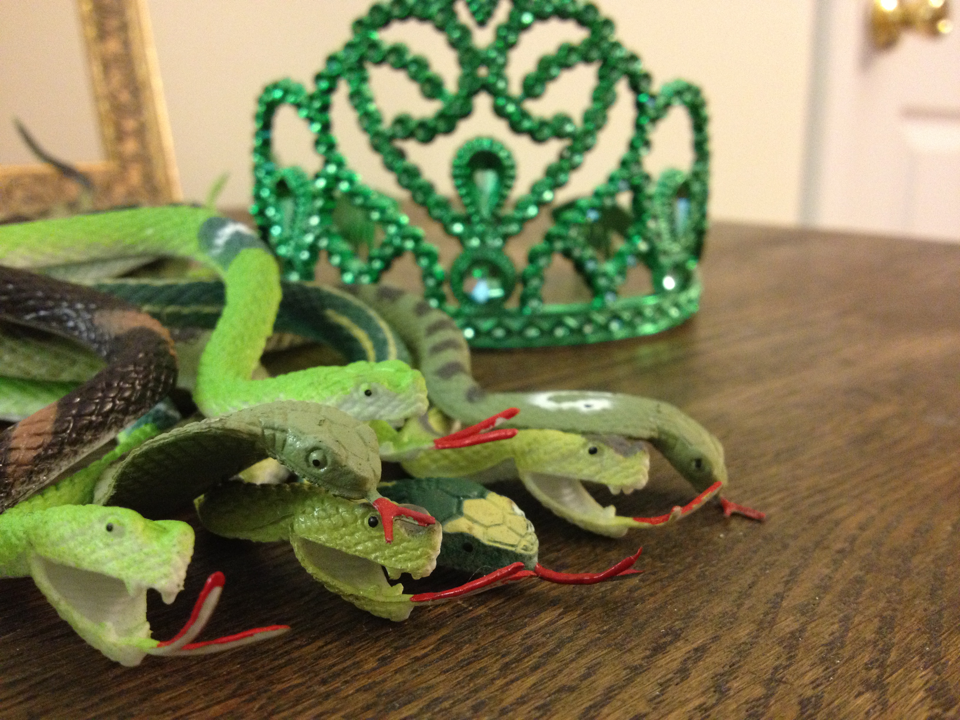 1 SNAKES.jpg