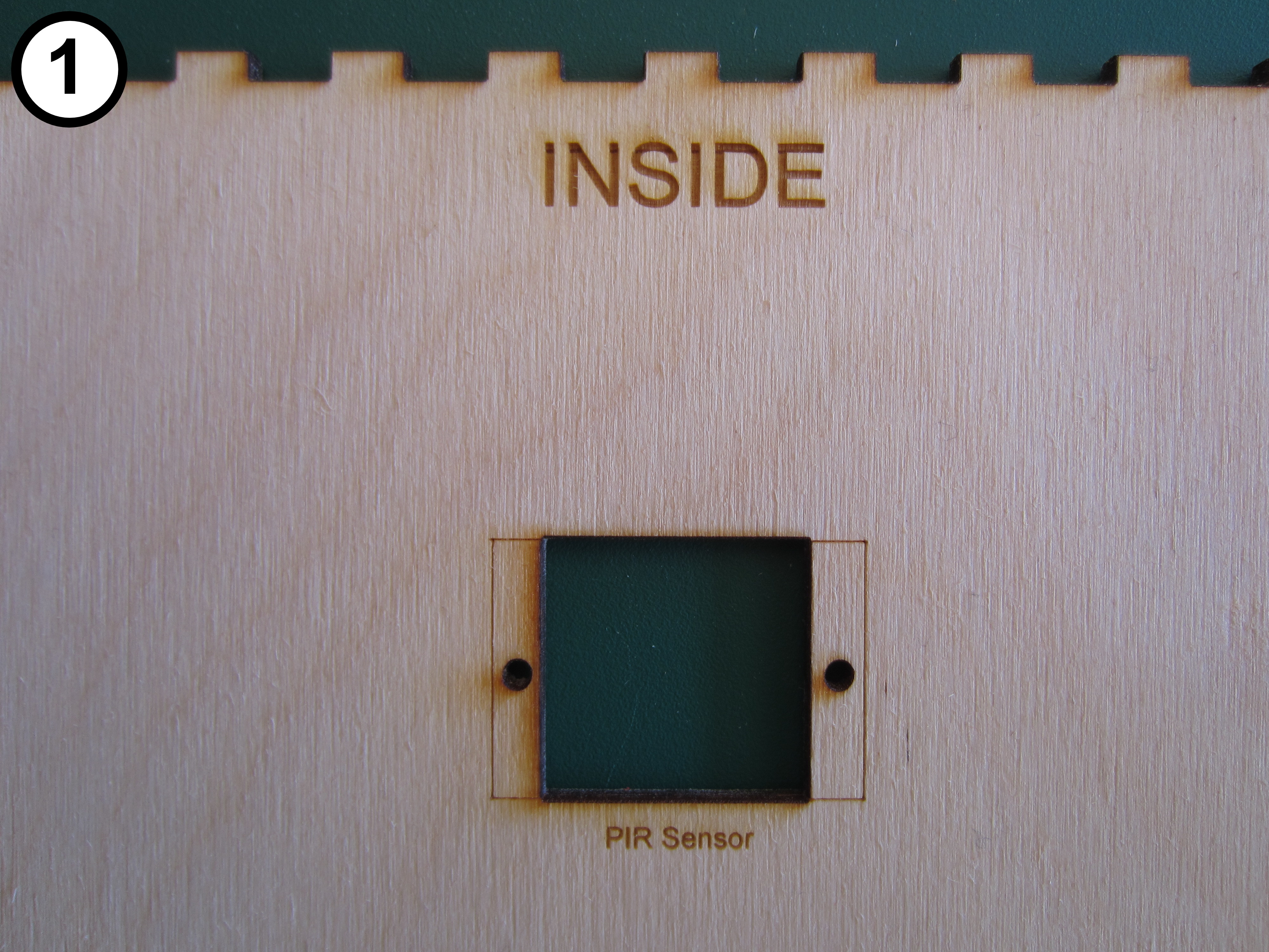 10 - 1 - Front Panel PIR.JPG