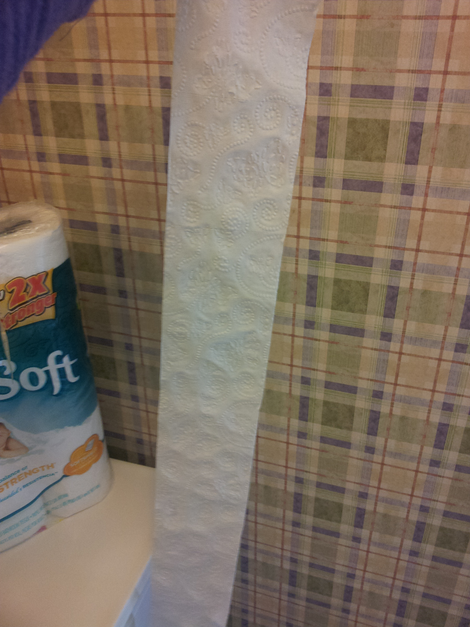 10.squares.of.toilet.paper..bmp