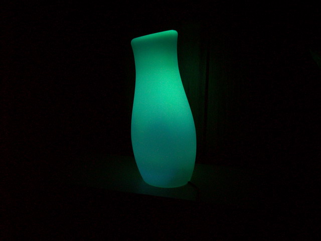 100B0281_l.jpg