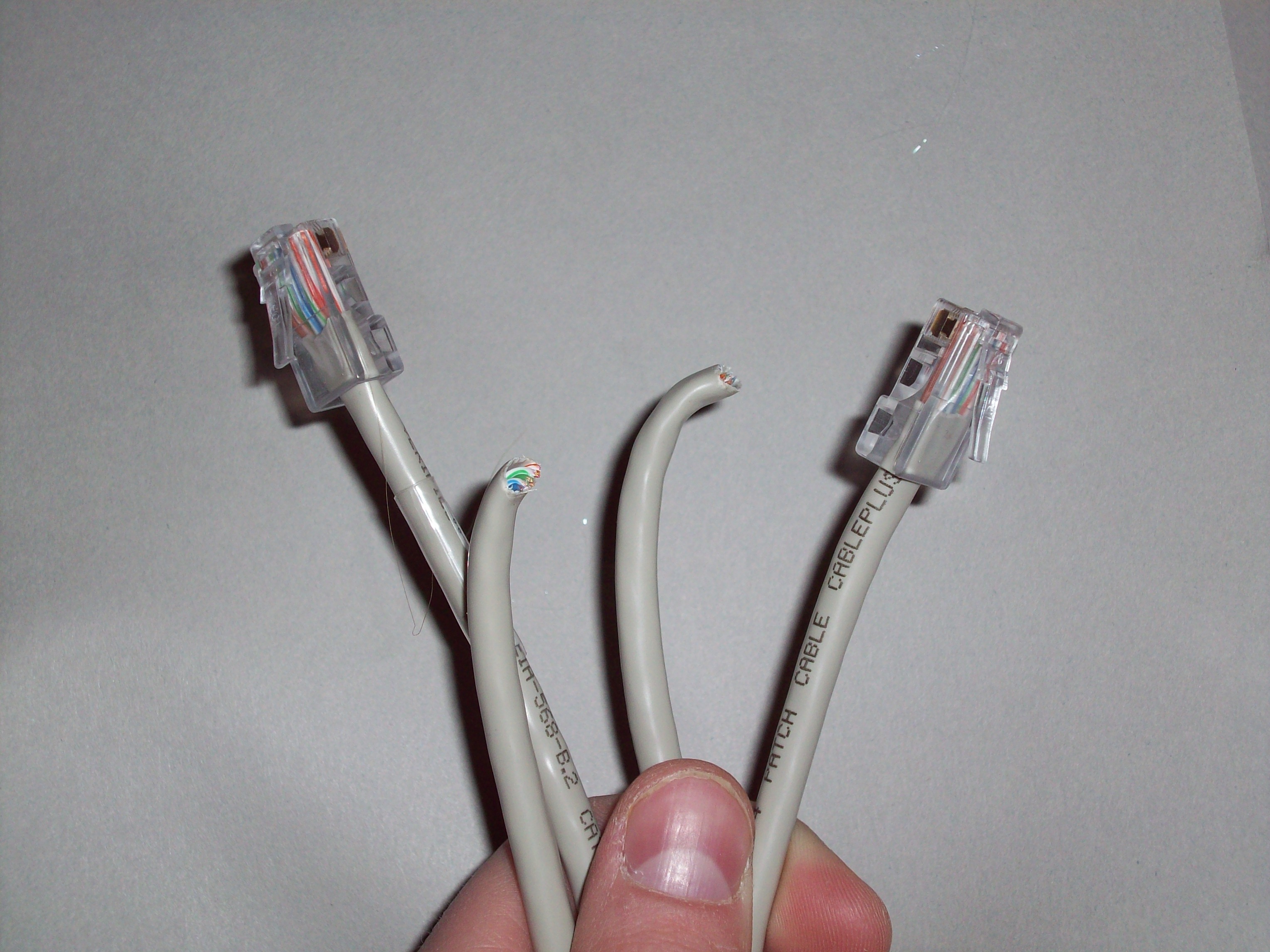 100_0313.JPG