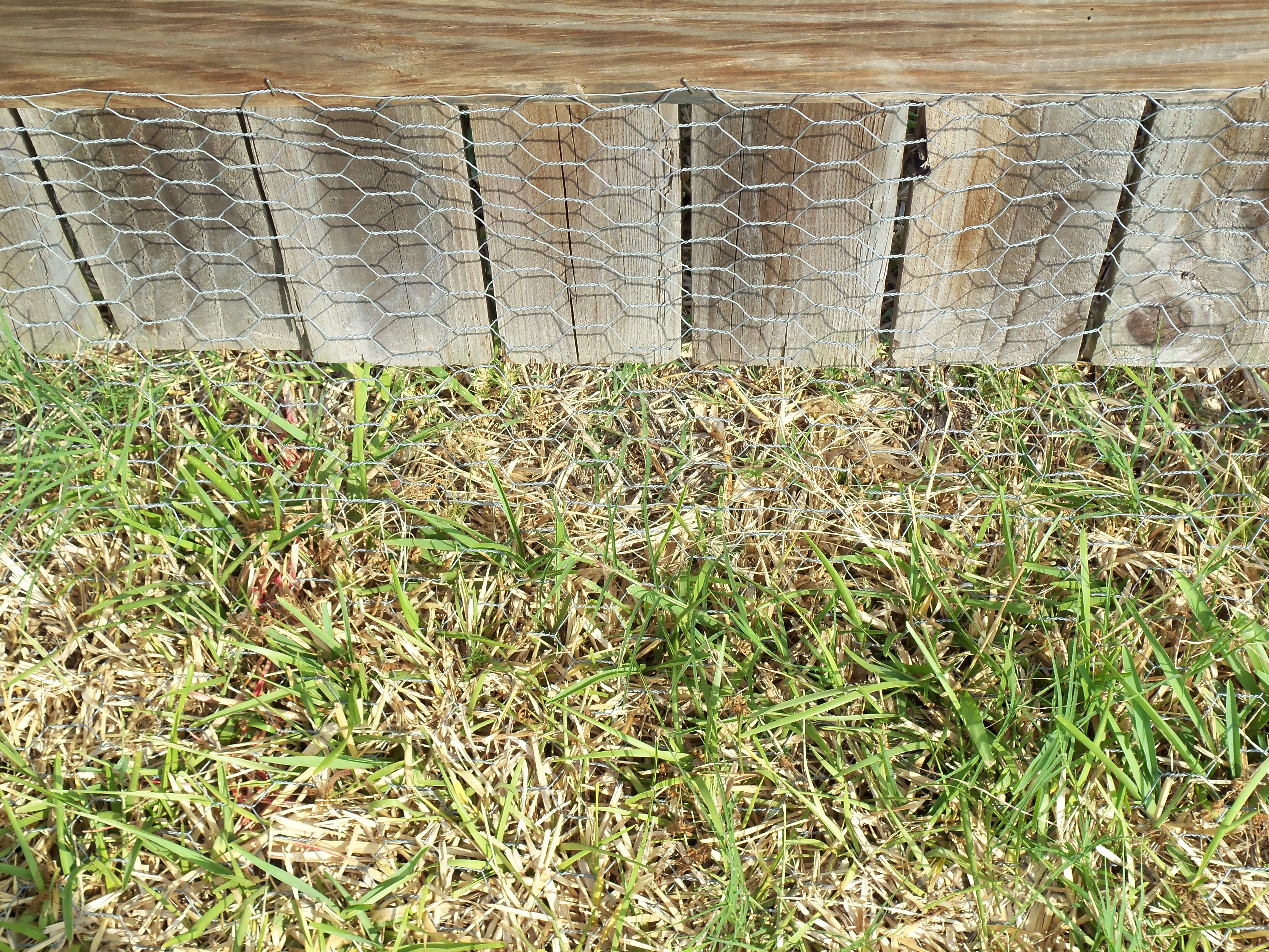 100_0664.JPG