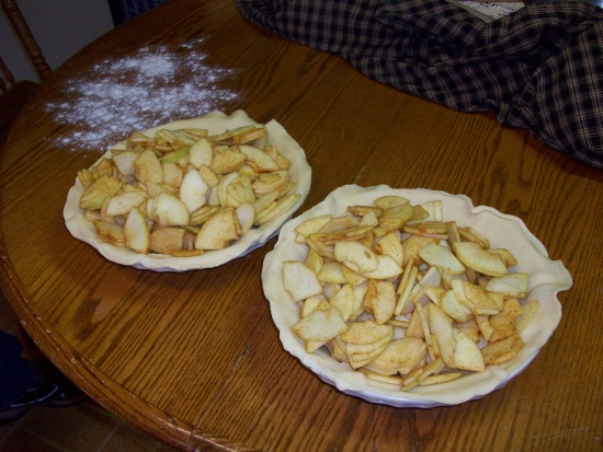 100_0711.jpg