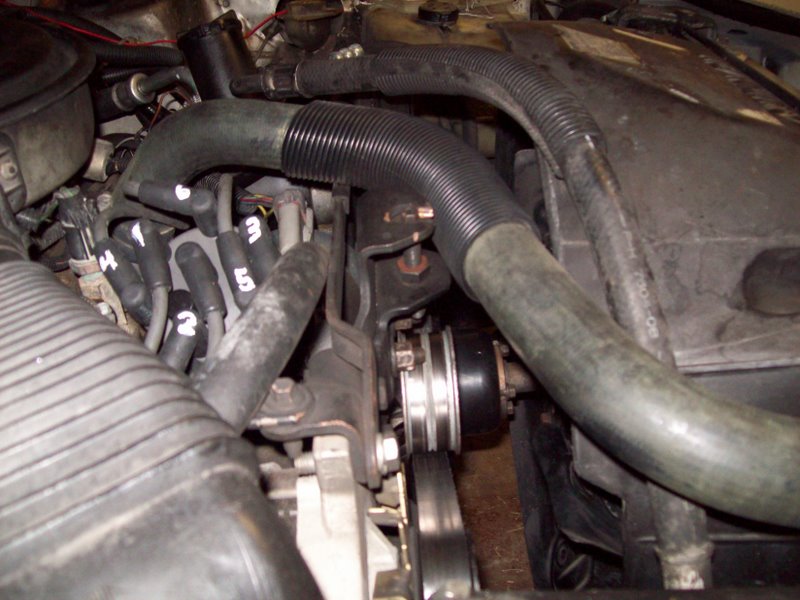 100_0721 Closeup of serpentine belt - passenger side view.JPG