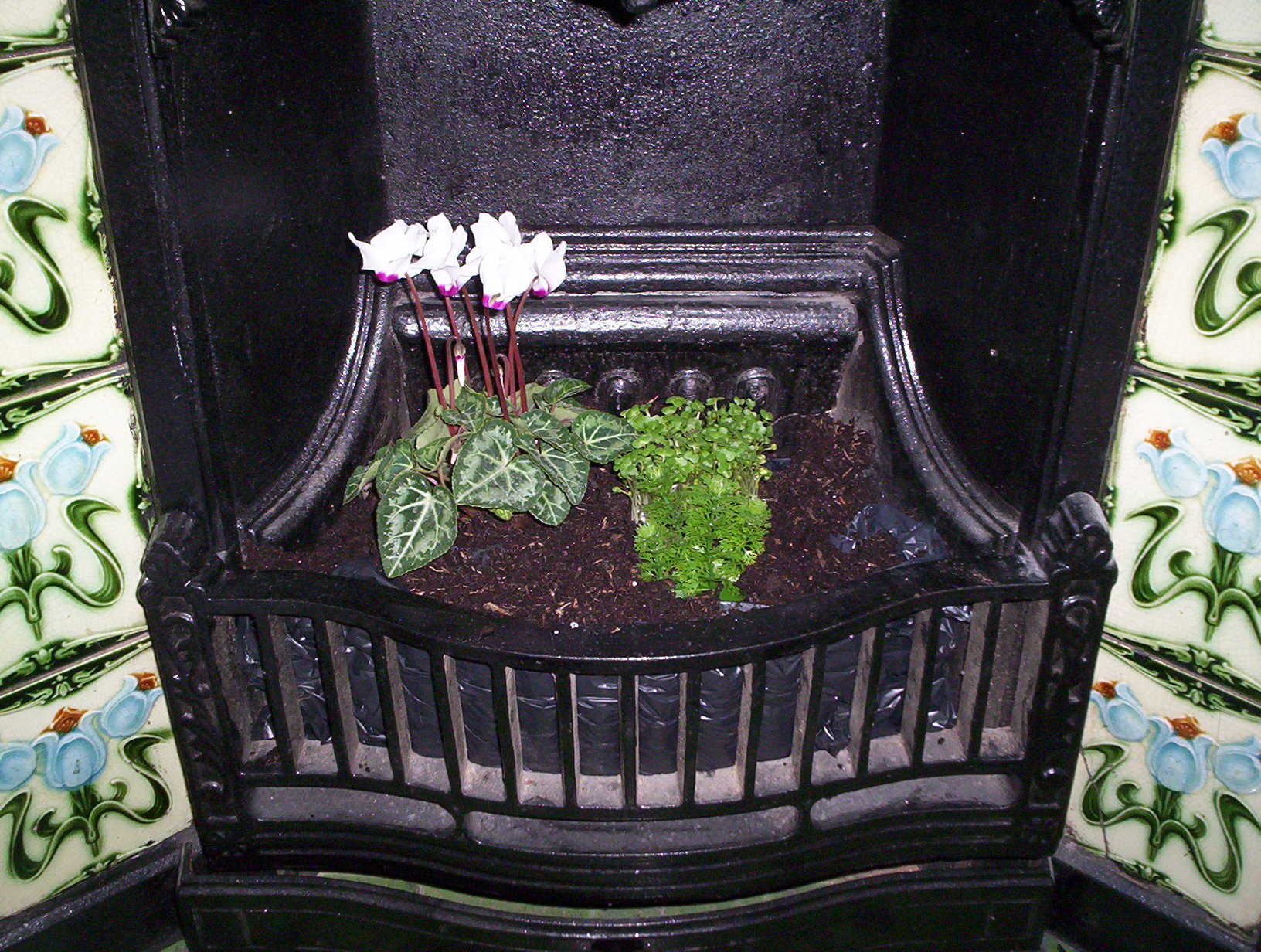 100_3728.JPG