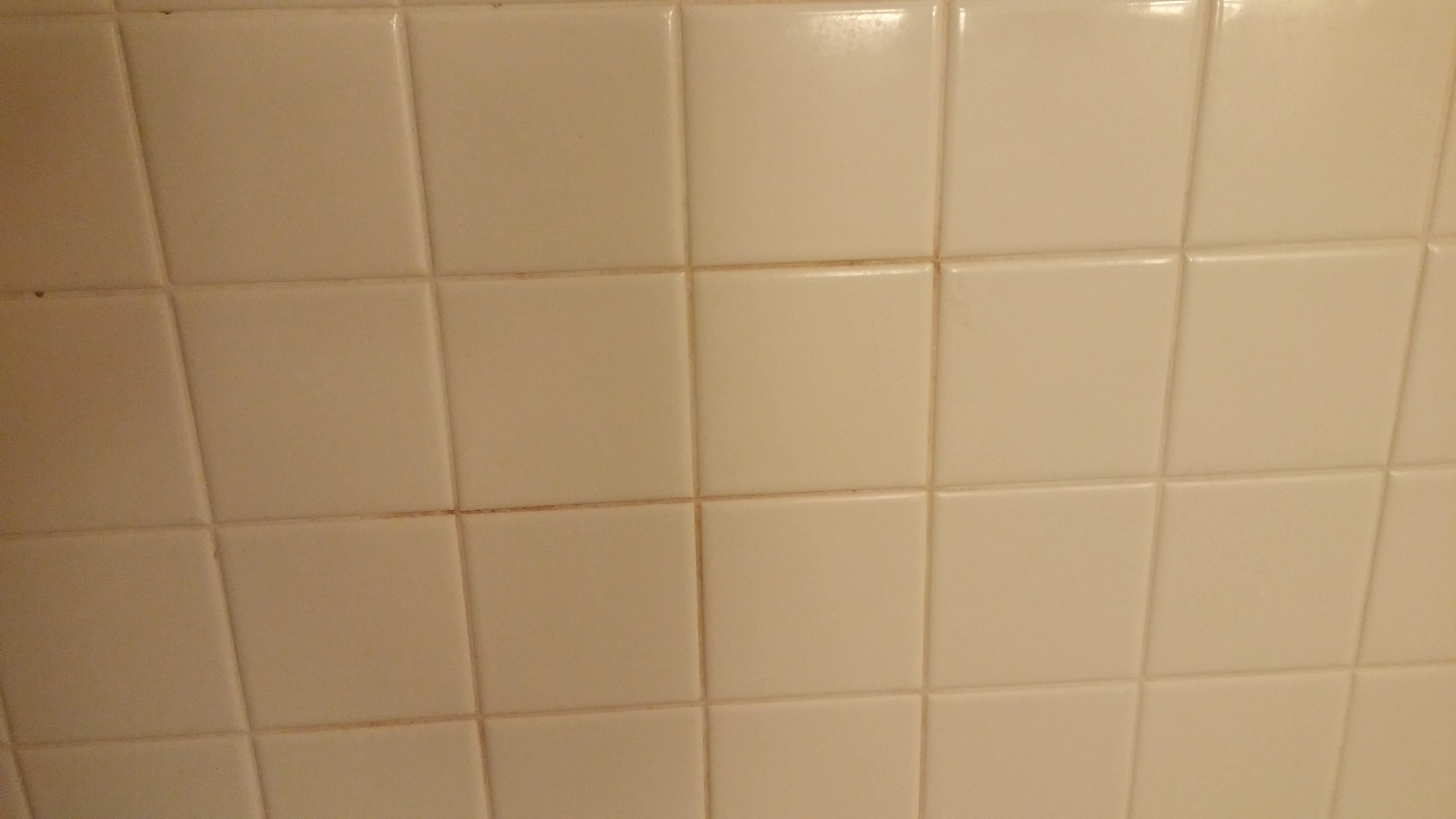 1019161846a_HDR.jpg