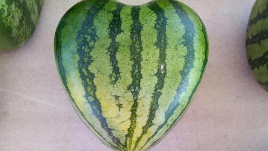 101937414-watermelon.530x298.jpg