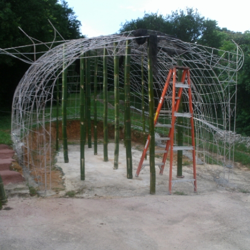 11-7-19  BAMBOO IN PLACE.JPG