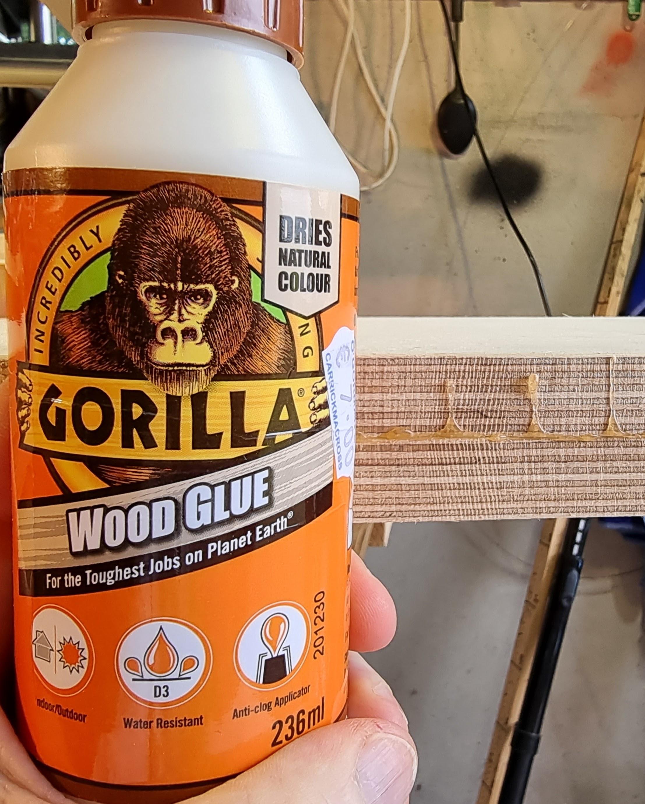 11. Gorilla wood glue.jpg