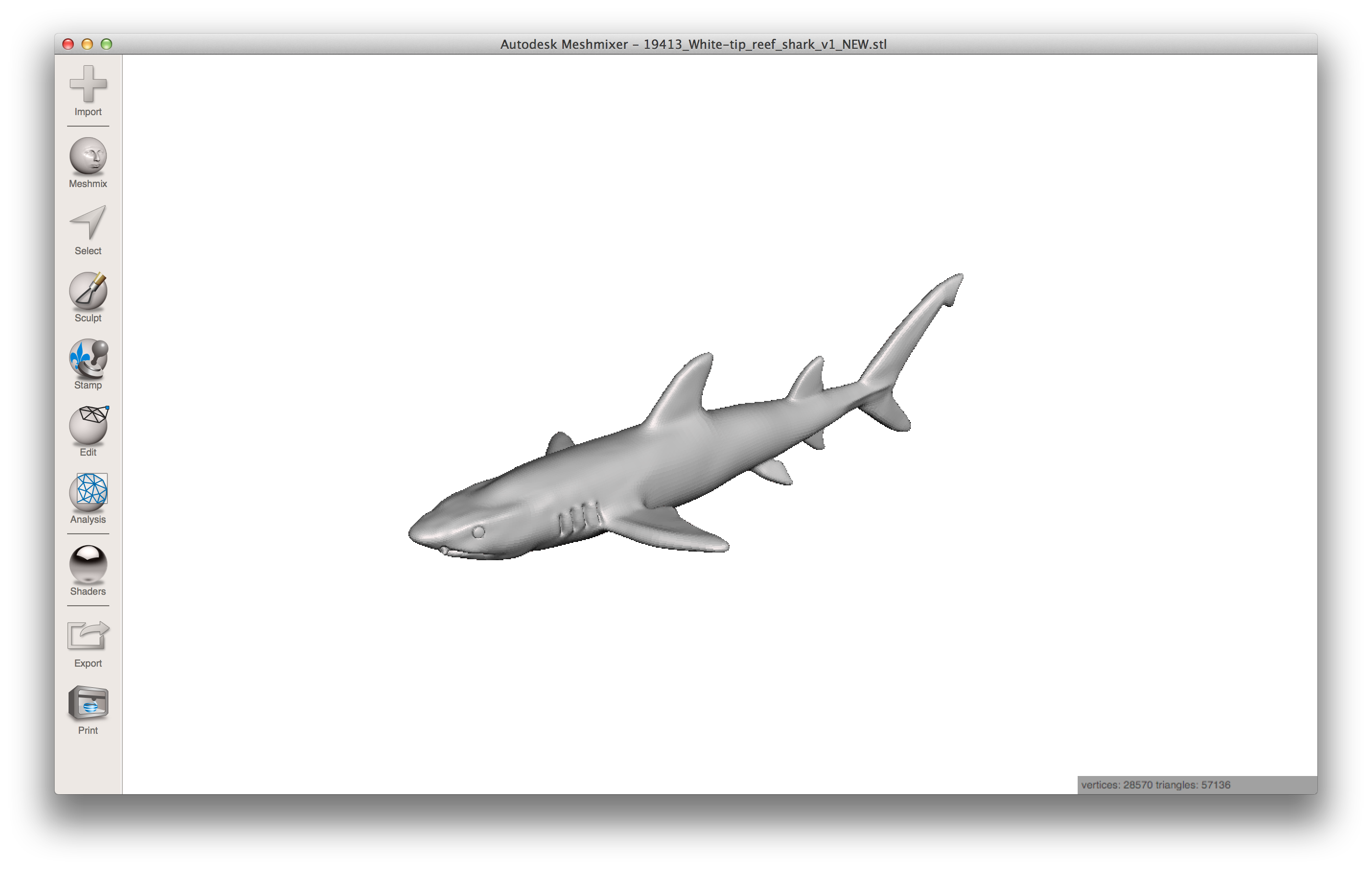 11. Shark.png