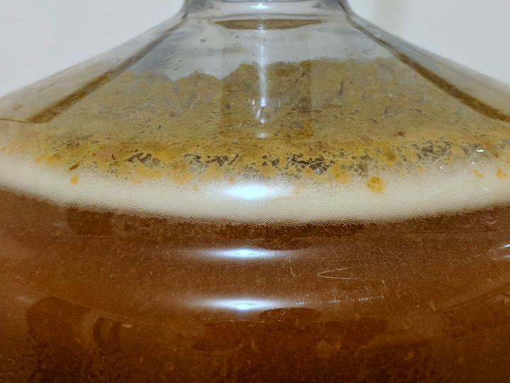 11a fermenting still.jpg