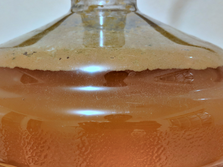 11c fermenting underway.jpg