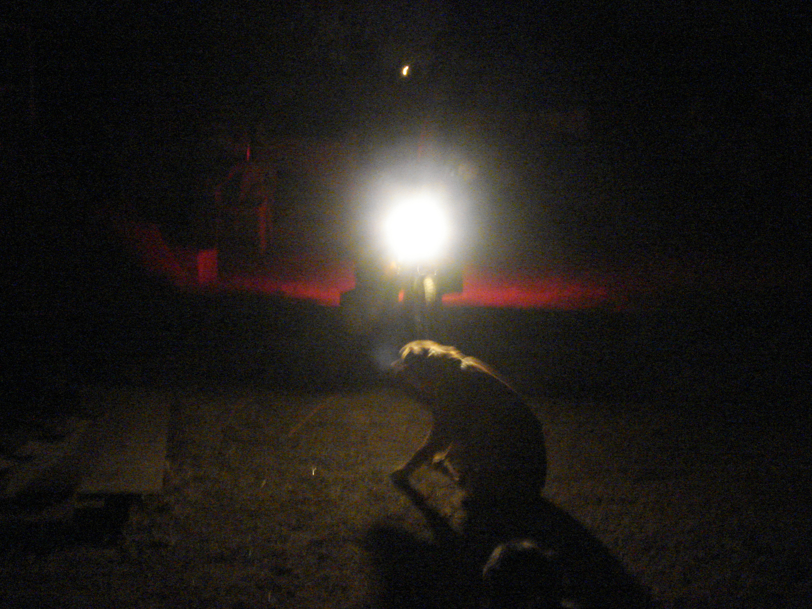 12 feet Away Oncoming View with Dogs 9 feet from Headlight ISO1000  DSC02030.JPG