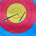 120px-Archery_target.jpg