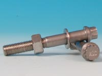 1210 12 point screw.jpg