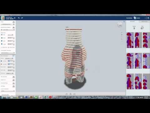 123D Make Tutorial - Bear Sculpture