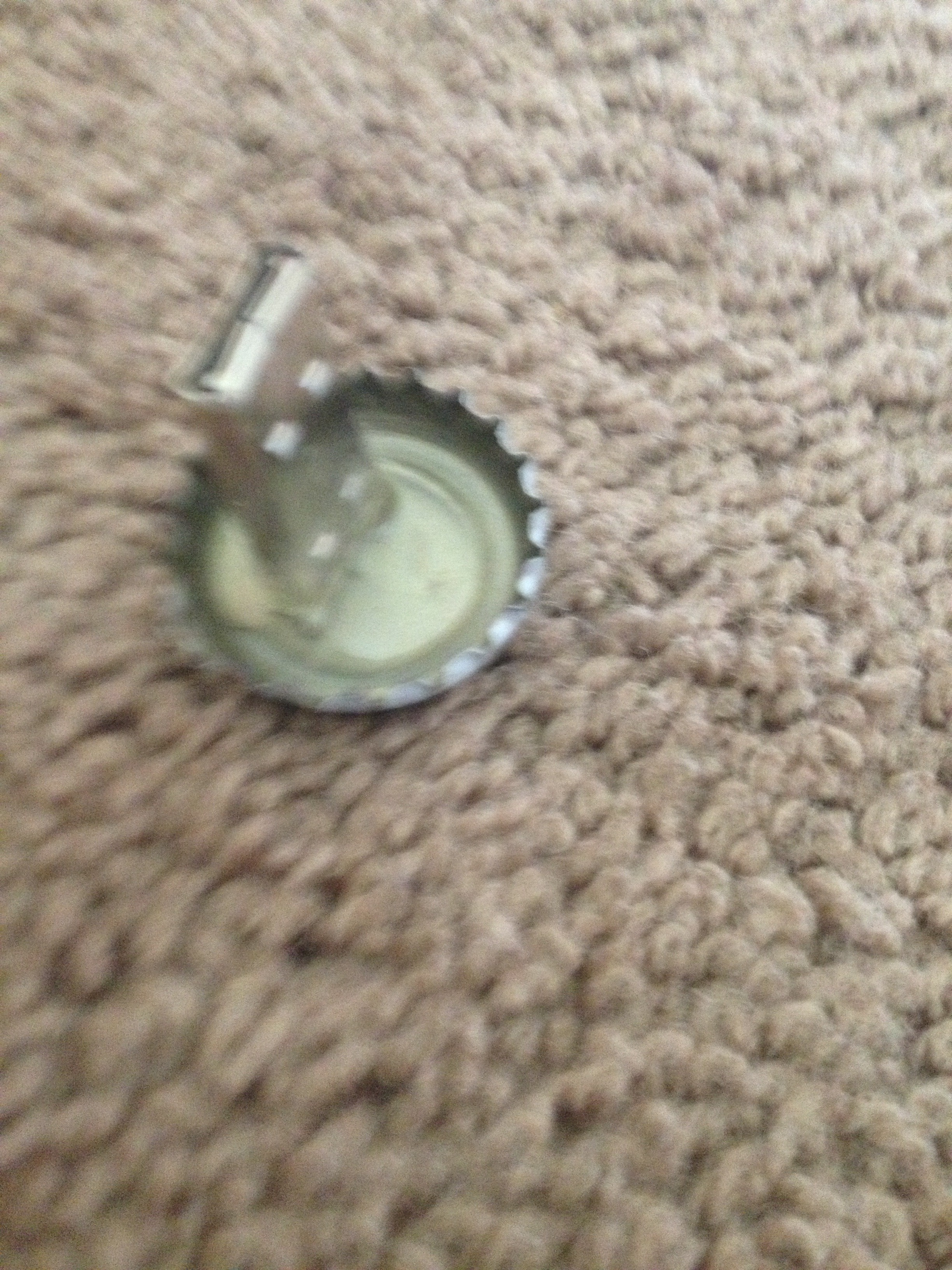 13, 10:42 AM.jpg