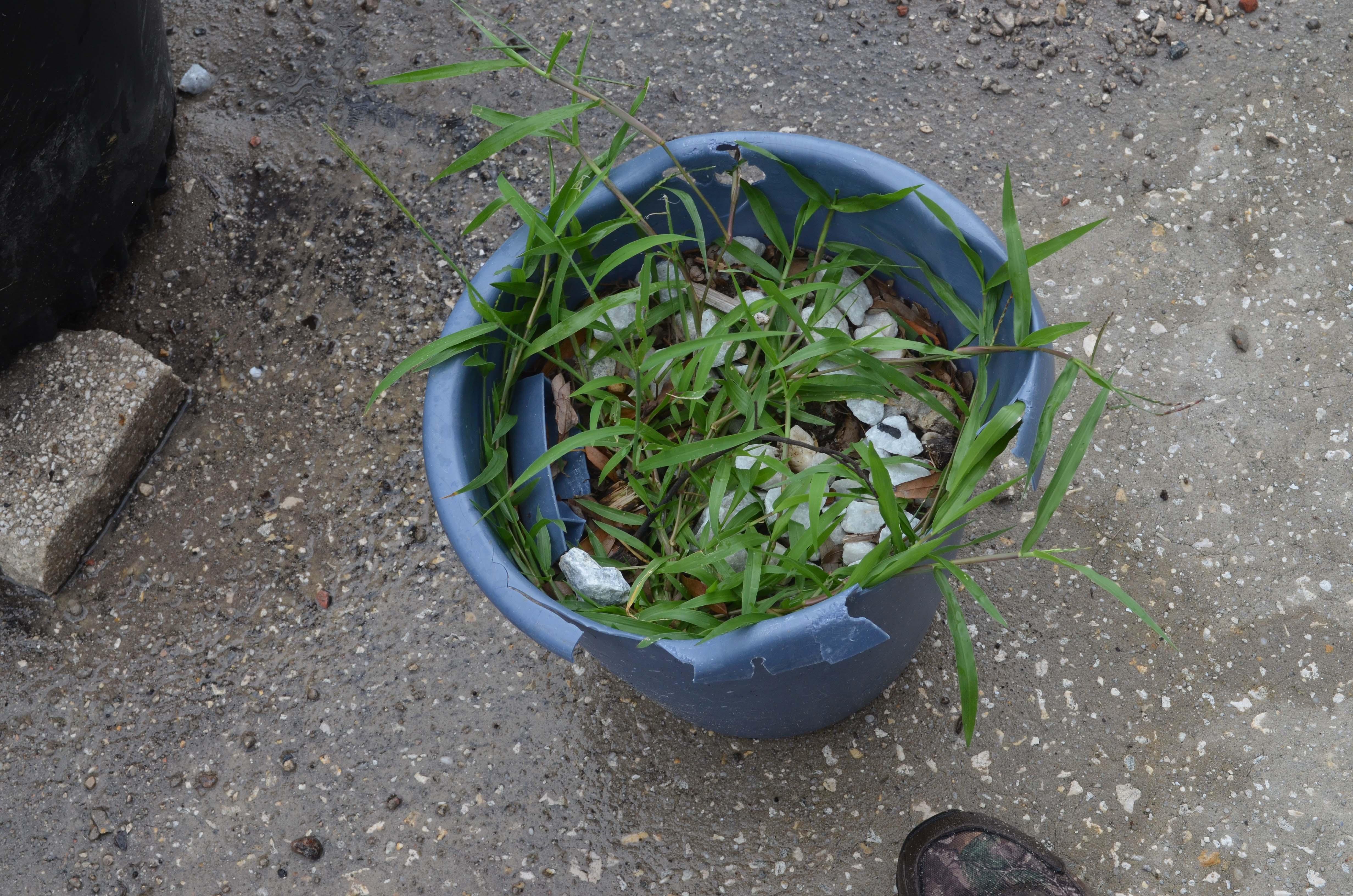 13 bucket of rocks.jpg