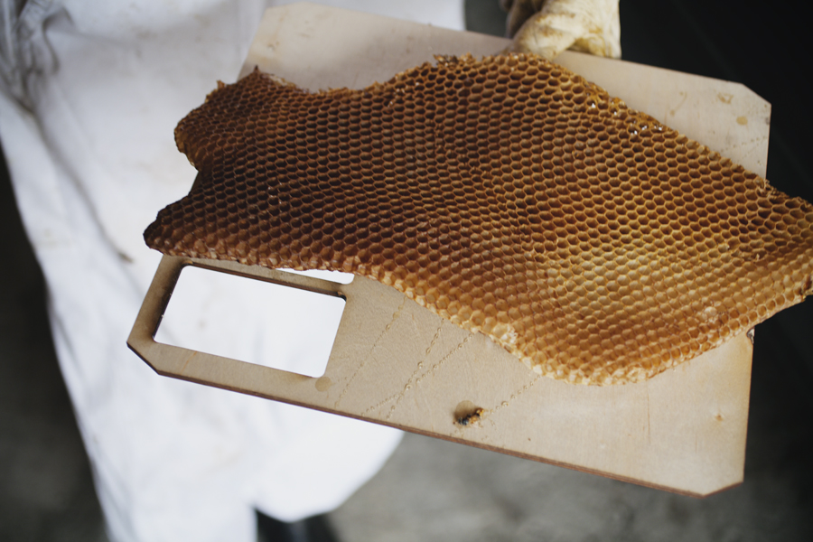 140721-29A LWR Honeycomb.jpg