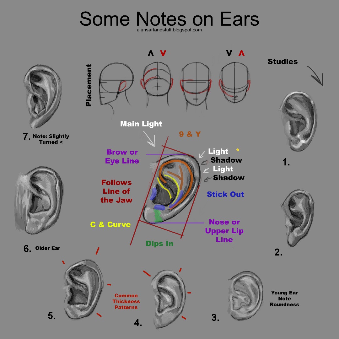 15-10-27- Digital - Copy [Morguefile] - Ear Study [Final Published Version].jpg