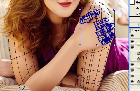 15.jpg