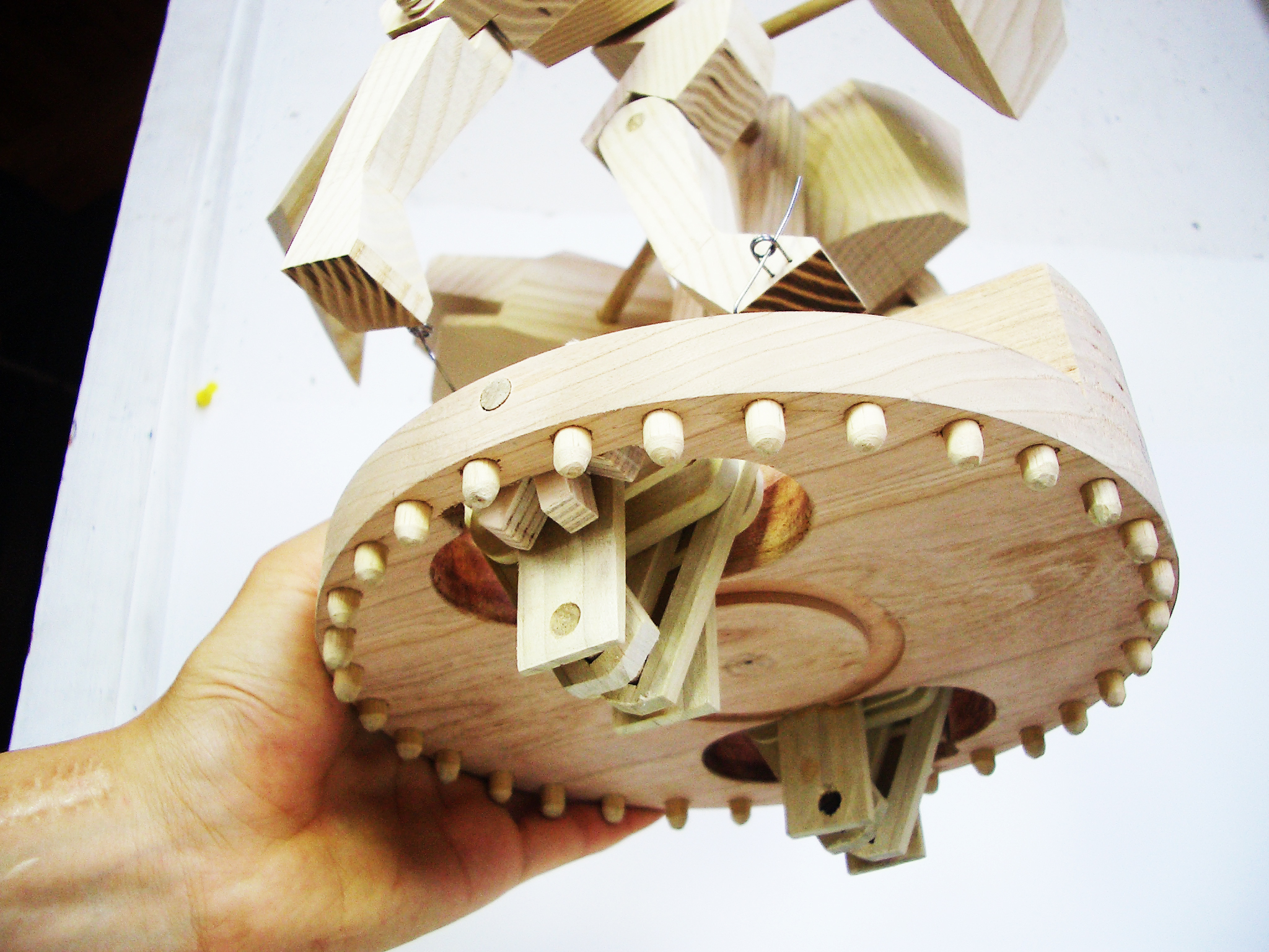 15b. Kinetic Dog top.jpg