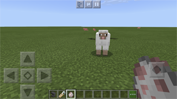 17_spawnsheep.png