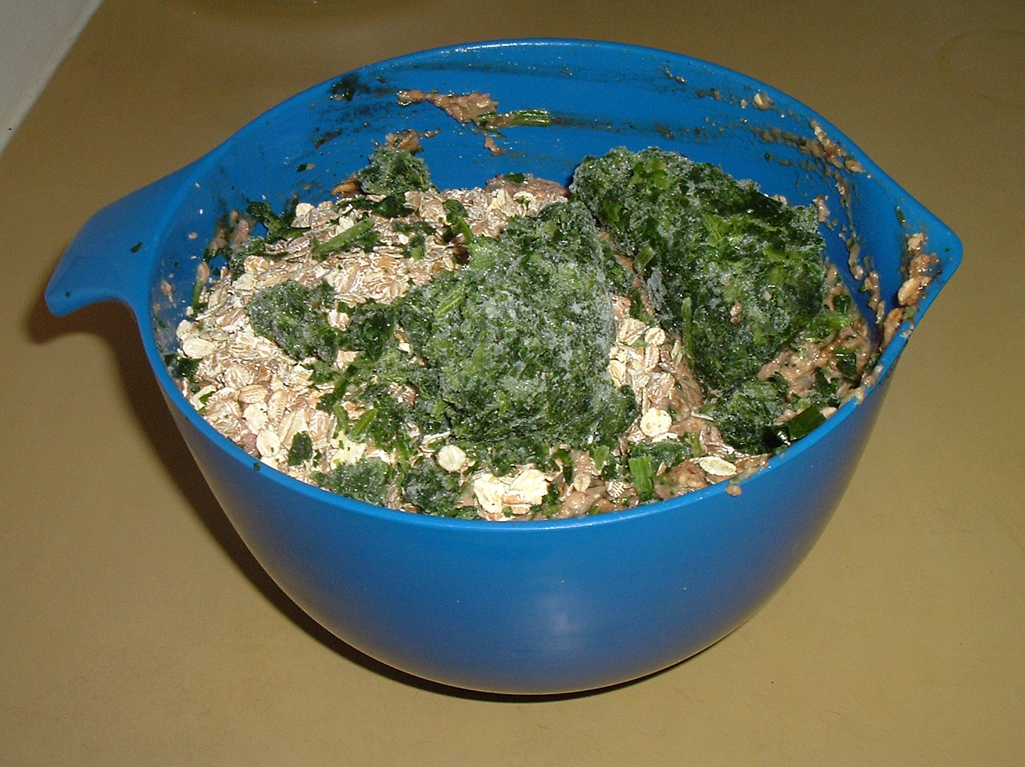 183 more oatmeal and spinach.JPG