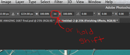 19 maintain aspect ratio button or hold shift.jpg