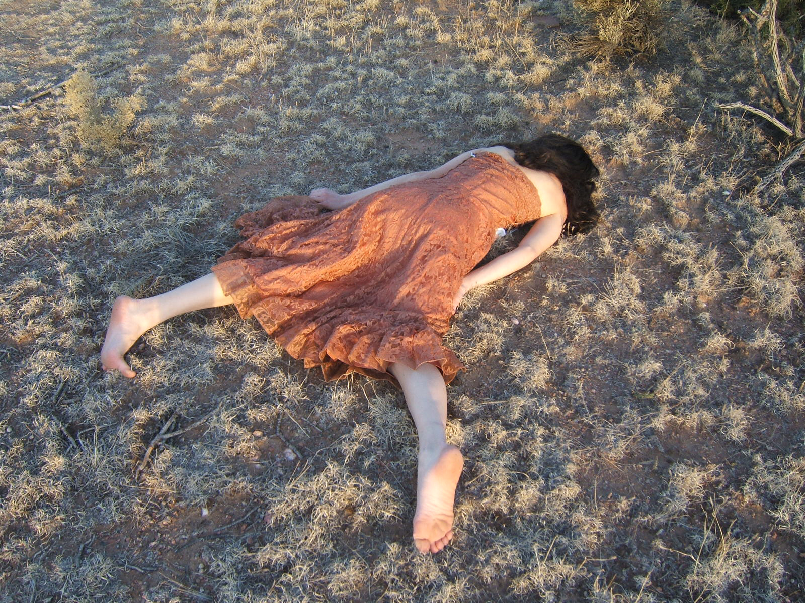 1E.jpg