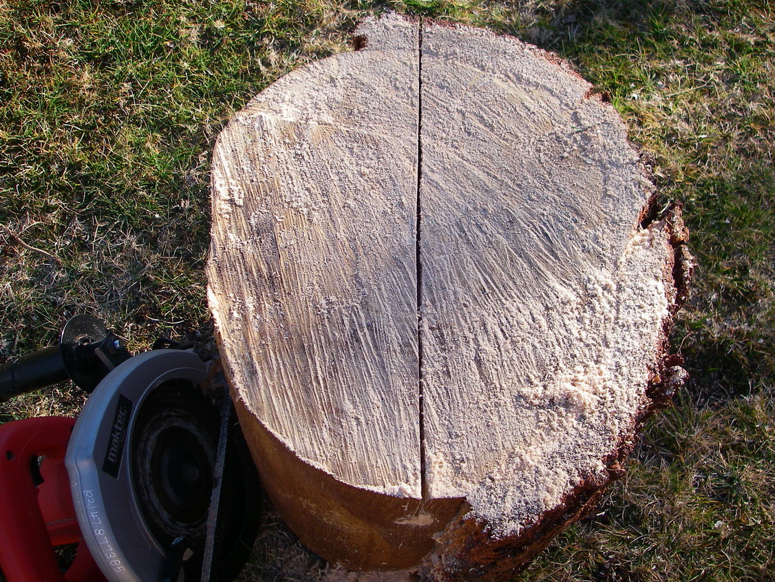 1a. First cut using power saw or chainsa.jpg